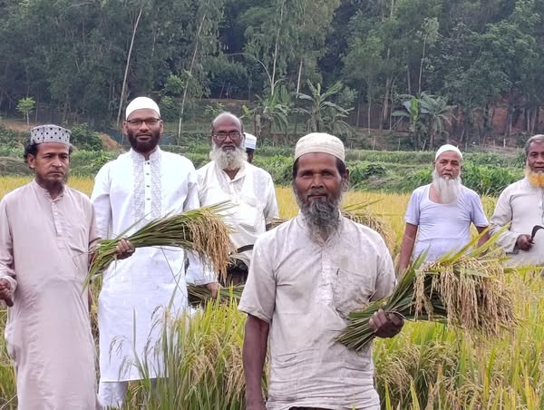 অদ্য ১৫ মে ২০২৫ ইং রোজ বৃহস্পতিবার মৃ’ত জামায়াতে ইসলামীর কর্মীর ধান কেটে দিলেন জামায়াত নেতৃবৃন্দ।